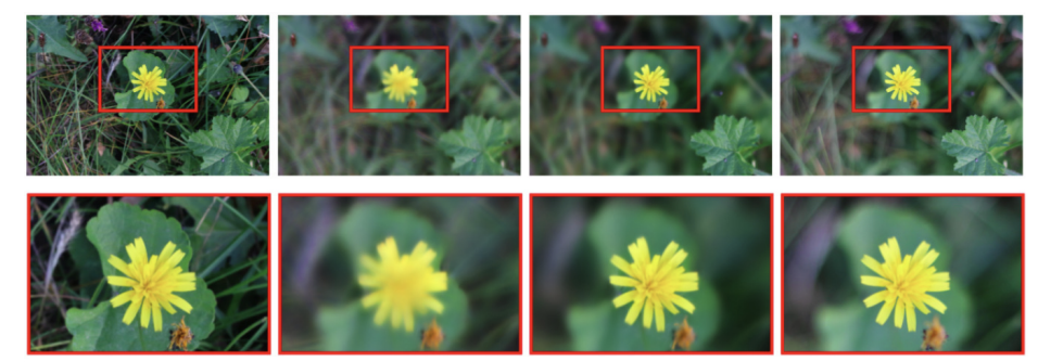 Bokeh Effect Rendering